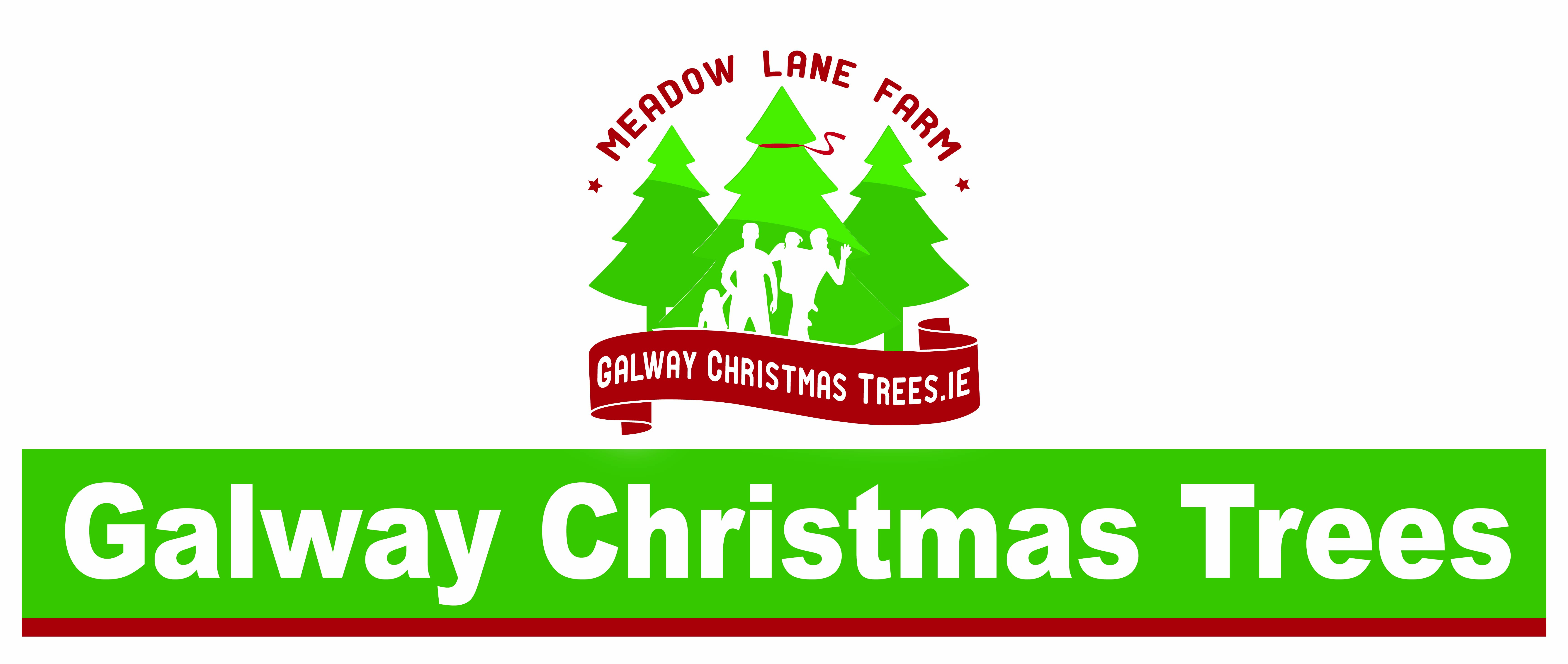 Galway Christmas Tree's logo
